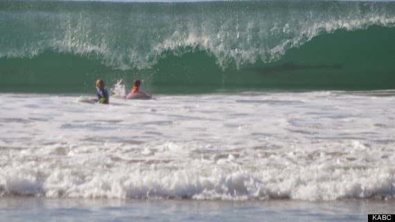 Cuidado con el tiburcio!!!!