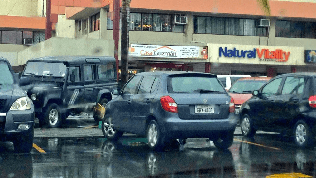 Tarado de la semana