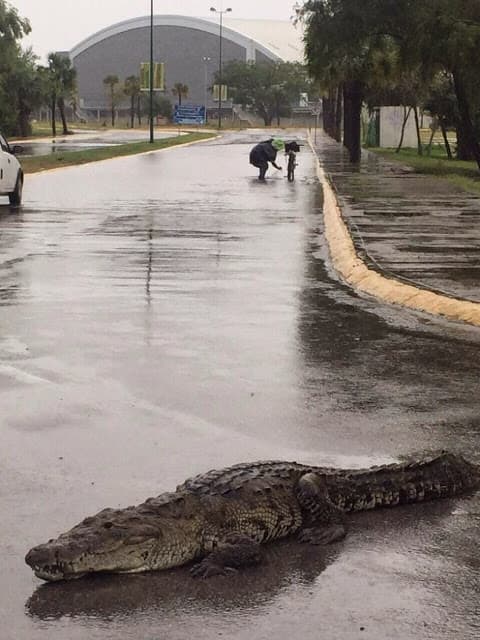 Fotos de la semana
