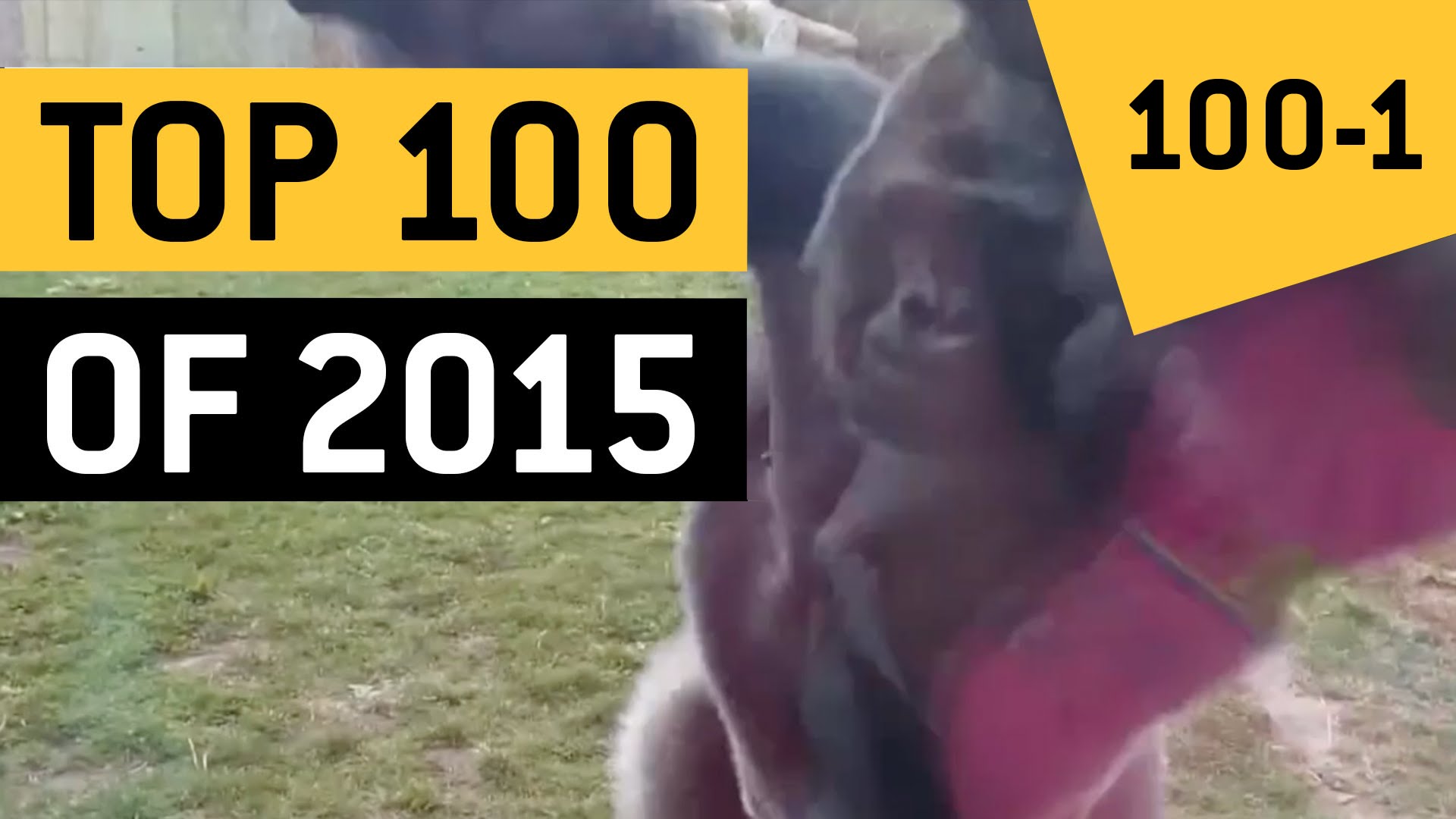 Los 100 video virales del año