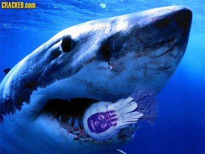 Wilson fue vista en aguas australianas.