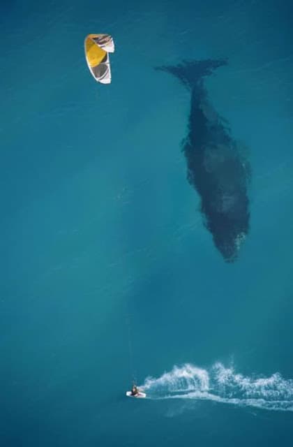 Kitesurf en buena compañia.