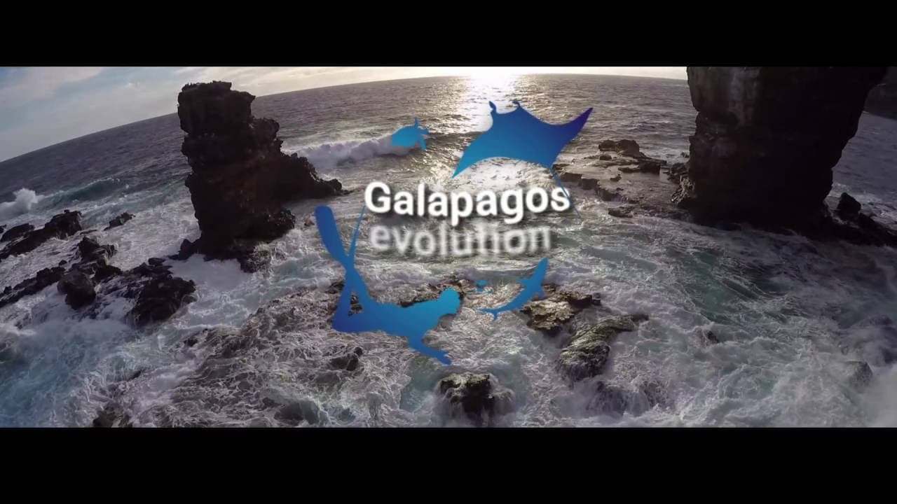 Galapagos evolution (trailer)