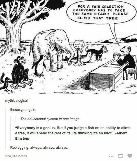 Sistemas educativos